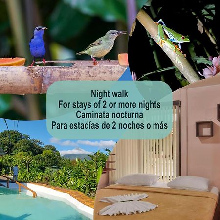 Cabanas Del Rio La Fortuna Kültér fotó