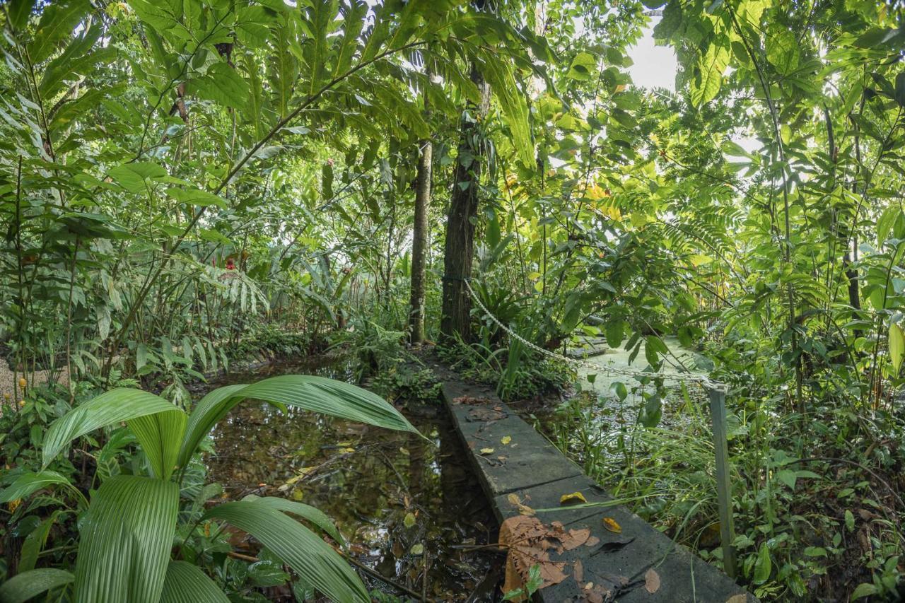 Cabanas Del Rio La Fortuna Kültér fotó