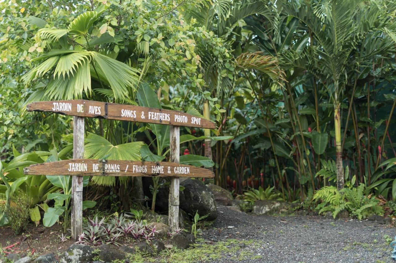 Cabanas Del Rio La Fortuna Kültér fotó