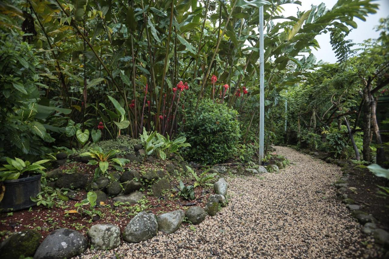Cabanas Del Rio La Fortuna Kültér fotó