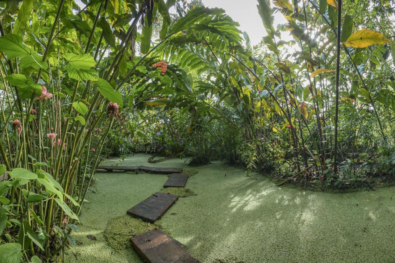 Cabanas Del Rio La Fortuna Kültér fotó