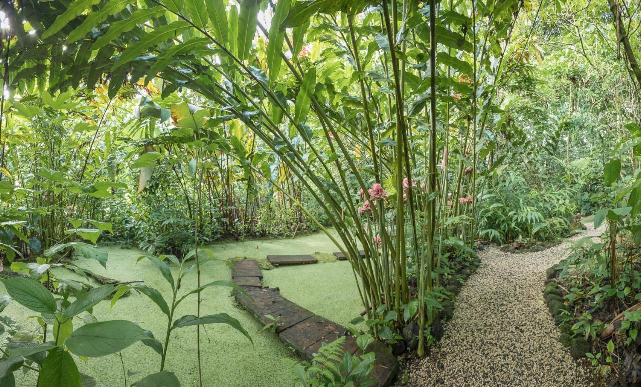 Cabanas Del Rio La Fortuna Kültér fotó